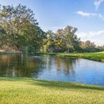 Porównanie hybrydowych SUV-ów: który model wybrać?