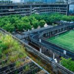 Farmy miejskie: nowe koncepcje upraw w mieście