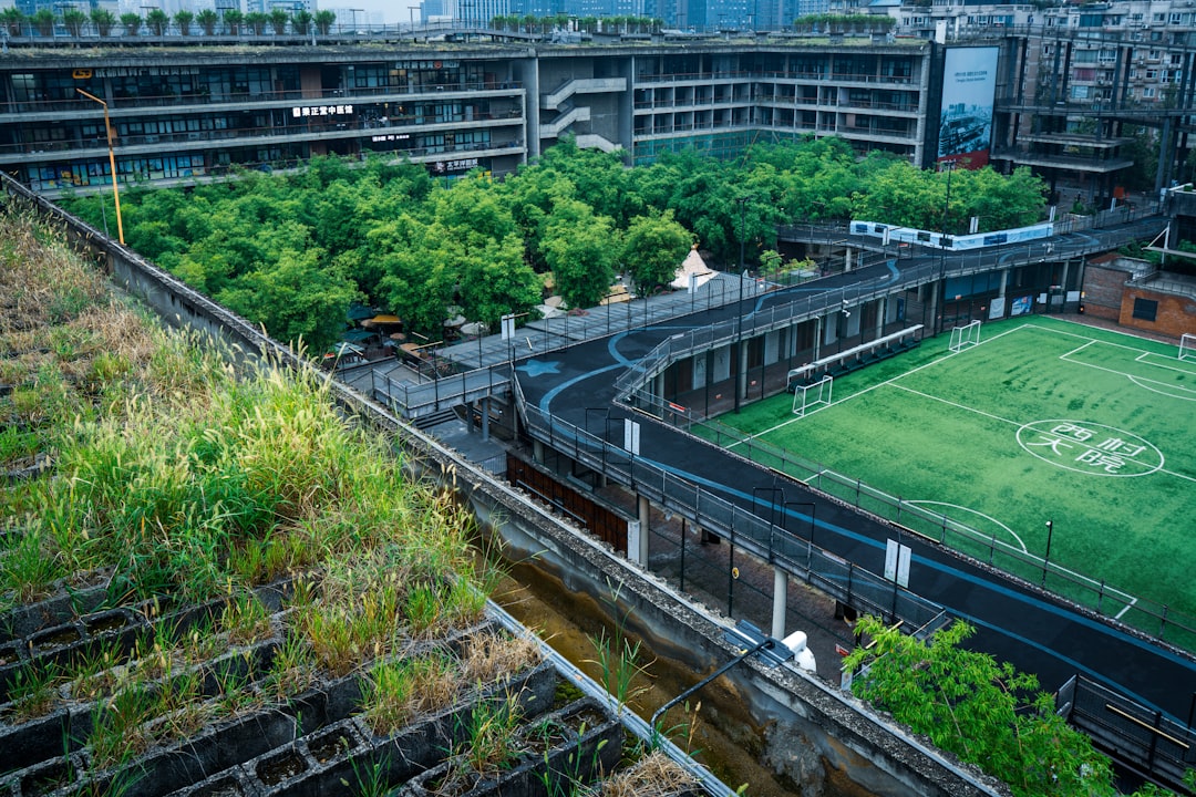 Photo urban farming concept